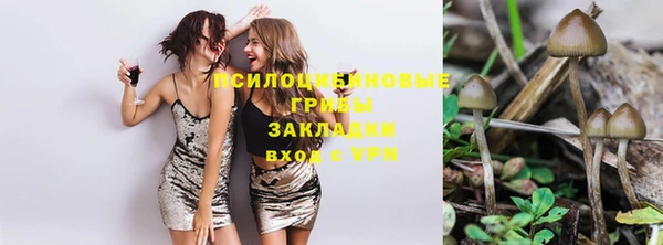 mix Арсеньев